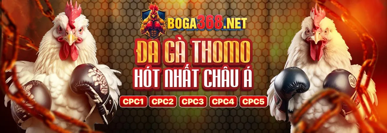 Đá gà trực tuyến kịch tính tại ax88 game