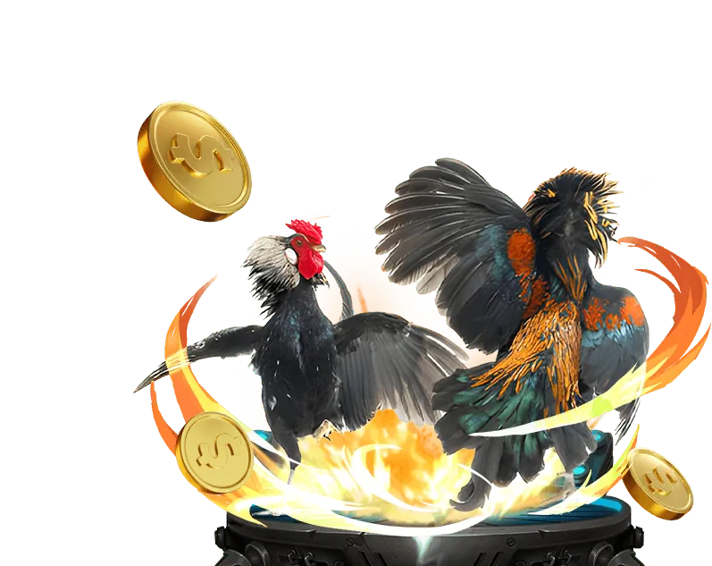 Hoàn trả cược thua hàng tuần