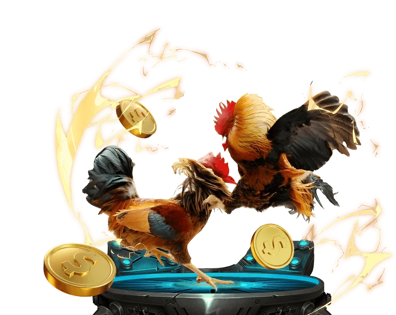 Bí quyết cá cược an toàn